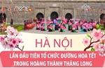 Hà Nội: Lần đầu tiên tổ chức Đường hoa Tết trong Hoàng thành Thăng Long