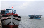Đà Nẵng tái cơ cấu đội tàu thuyền, giảm thiểu phương tiện khai thác ven bờ