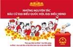 Những nguyên tắc bầu cử đại biểu Quốc hội, đại biểu HĐND 