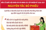 Bầu cử Quốc hội và HĐND: Nguyên tắc bỏ phiếu
