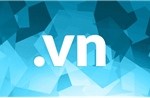 Tên miền quốc gia '.vn' được đấu giá gấp hơn 20 lần giá khởi điểm trong ngày đầu tiên
