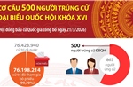 Cơ cấu 500 người trúng cử Đại biểu Quốc hội khóa XVI
