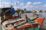 Gỡ khó cho ngư dân trước biến động giá nhiên liệu