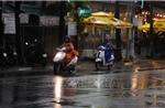 Mưa đầu mùa 'giải nhiệt' Đồng Tháp sau những ngày nắng nóng