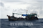 Tạm giữ tàu chở 10.000 lít dầu DO không rõ nguồn gốc