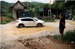Tuyên Quang: Người dân mòn mỏi chờ cải tạo, nâng cấp tuyến đường ĐH.08