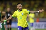World Cup 2026: Cơn sốt tuyển Brazil bùng nổ trên mạng xã hội