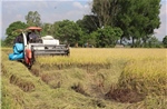 Đột phá phát triển kinh tế tập thể