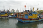 Gia Lai hướng dẫn xử lý tàu cá sau giải bản