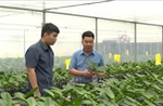 Xây dựng nền nông nghiệp hiện đại, thân thiện
