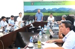 Phân cấp 4 thủ tục, cắt giảm 11 thủ tục hành chính lĩnh vực trồng trọt