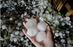Tuyên Quang: Kích hoạt các phương án ứng phó với thời tiết cực đoan