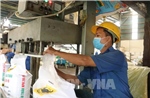 Để ngành phân bón Việt Nam thích ứng với các thách thức mới