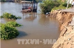 Cần Thơ công bố tình huống khẩn cấp sạt lở bờ sông tại xã Thạnh Xuân