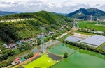 Bốn mạch đường dây 500kV Bắc - Nam cung cấp gần 20% điện cho miền Bắc trong cao điểm nắng nóng