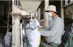 Kinh tế tư nhân trở thành động lực của tăng trưởng xanh ở An Giang