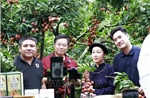 Livestream và thương mại điện tử đưa vải thiều đạt doanh thu kỷ lục