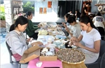 Tạo thương hiệu quà lưu niệm giá trị cao từ vỏ sò, vỏ ốc