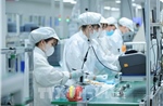 Nghị quyết 10-NQ/TW và bước chuyển chiến lược tư duy - Bài cuối