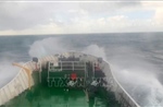 Cứu sống 7 ngư dân trong vụ đắm tàu cá trên vùng biển Cô Tô