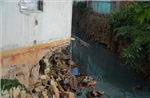 Suối giáp ranh Đồng Nai - Thành phố Hồ Chí Minh sạt lở, nhiều hộ dân bị ảnh hưởng​