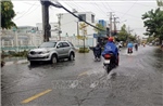 Thiên tai gây thiệt hại lớn đến đời sống, sản xuất của người dân Cà Mau