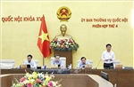 UBTV Quốc hội cho ý kiến về dự án Luật Dầu khí (sửa đổi)