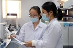 Giám sát, không để sốt xuất huyết bùng phát trên diện rộng