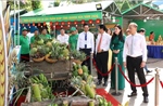 Kết nối tiêu thụ nông sản, mở rộng chuỗi liên kết sản xuất OCOP