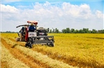 Hướng tới xây dựng người nông dân làm chủ chuyển đổi số