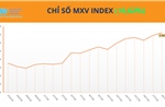 Lực mua áp đảo, chỉ số MXV-Index tiến sát mốc 2.800 điểm