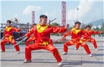 Võ cổ truyền Bình Định giữ vị trí đặc biệt trong nền võ học dân tộc