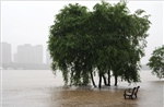 Trung Quốc: Sạt lở đất tại Trùng Khánh làm 11 người thiệt mạng, 50 người mất tích