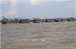 Cà Mau triển khai đợt cao điểm chống khai thác IUU
