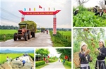 Đề xuất hợp nhất 4 Chương trình mục tiêu quốc gia: Nâng hiệu quả nguồn lực 