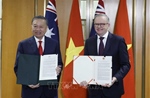 Tổng Bí thư, Chủ tịch nước Tô Lâm và Thủ tướng Australia trao tuyên bố chung