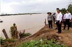 Vĩnh Long: Khẩn trương xử lý các điểm sạt lở tại xã Quới Thiện