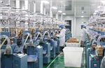 Nghị quyết số 10-NQ/TW: Động lực 'hút' FDI vào kinh tế xanh
