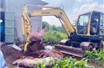 TP Hồ Chí Minh: ​Xử lý ổ dịch tả lợn châu Phi tại xã Xuân Sơn