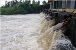 Hải Phòng khẩn trương tiêu úng, bảo vệ hơn 14.000 ha cây trồng bị ngập