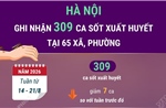 Hà Nội ghi nhận 309 ca mắc sốt xuất huyết tại 65 xã, phường