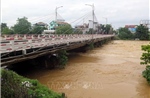 Thái Nguyên: Lũ trên sông Cầu dâng cao