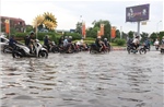 Chuyên gia: Bão số 4 có quỹ đạo và diễn biến khá bất thường
