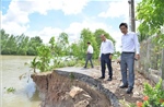 Triển khai các giải pháp cấp bách ứng phó với sạt lở bờ sông, nội đồng