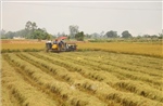 Thúc đẩy hợp tác chiến lược nông nghiệp và môi trường giữa Việt Nam - Vương quốc Anh