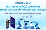 Đến năm 2030: Phát triển tối thiểu 20 doanh nghiệp làm chủ công nghệ, sản phẩm công nghệ chiến lược