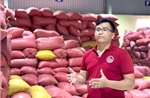 Nông dân trẻ xây chuỗi giá trị, đưa hạt gạo quê hương vươn xa