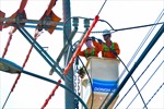 EVNSPC phối hối hợp với các tỉnh phía Nam cùng đồng hành tiết kiệm điện