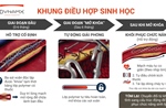 Khung điều hợp sinh học chứng minh giảm vượt trội tỷ lệ biến cố tim mạch sau 4 năm so với stent phủ thuốc