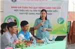 Cần Thơ thúc đẩy sản xuất lúa gạo chất lượng cao, phát thải thấp
